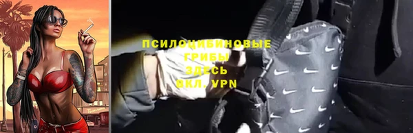 ГАЛЛЮЦИНОГЕННЫЕ ГРИБЫ Богородск