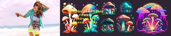 ГАЛЛЮЦИНОГЕННЫЕ ГРИБЫ Богородск