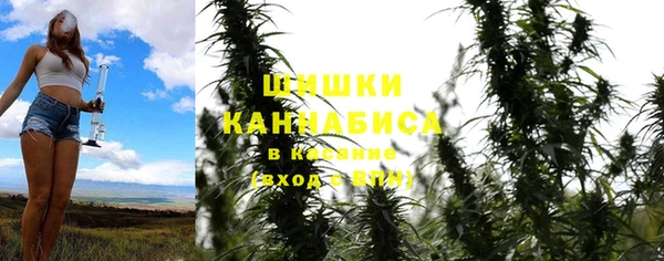ГАЛЛЮЦИНОГЕННЫЕ ГРИБЫ Богородск